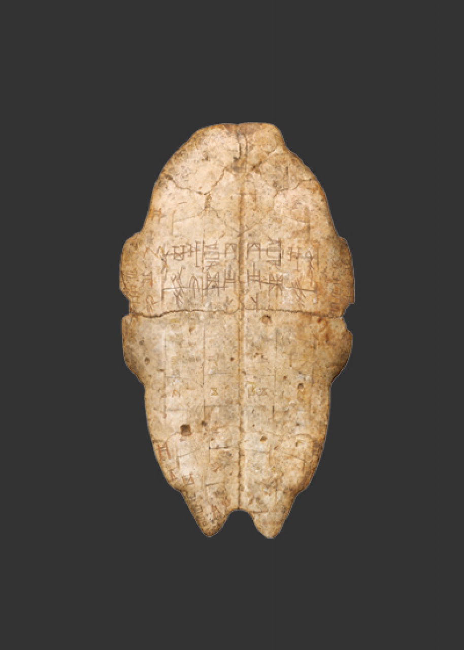 Oracle Bones | Museum of the Institute of History & Philology, Academia ...