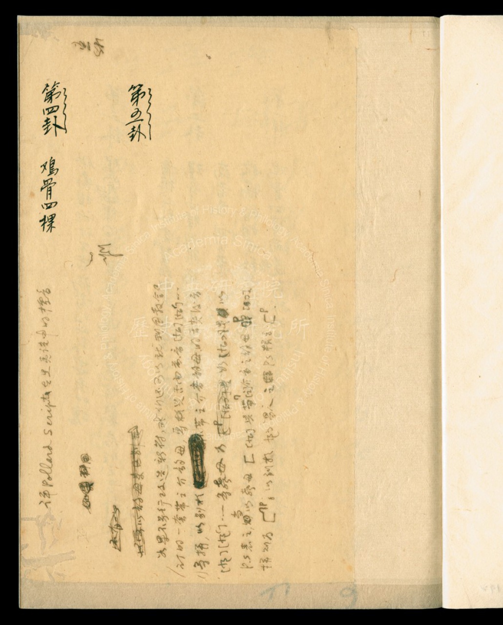 彝族的雞骨卜