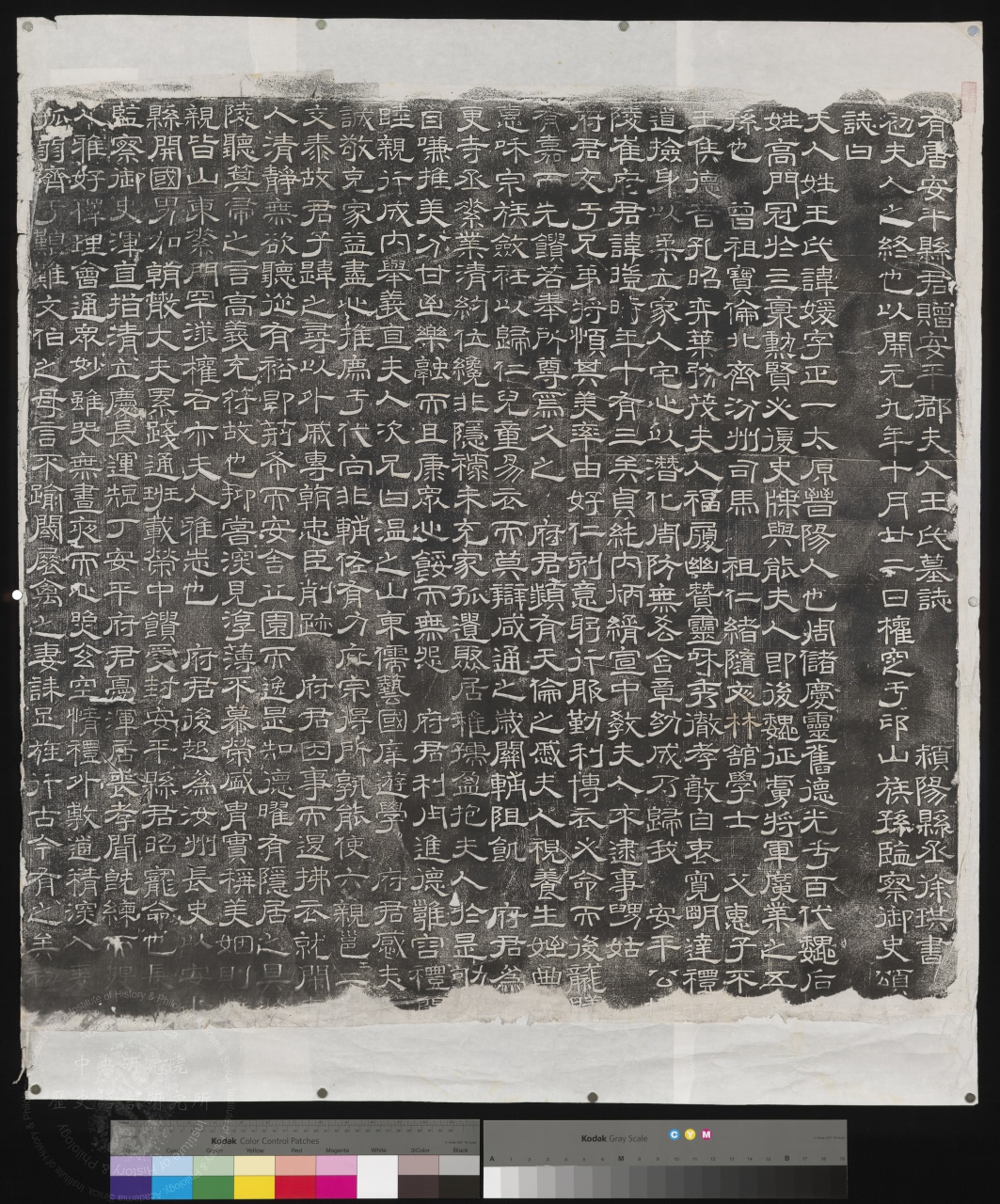 王媛墓誌（陽） 