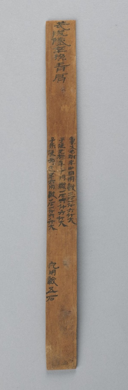 29.2彩色照片