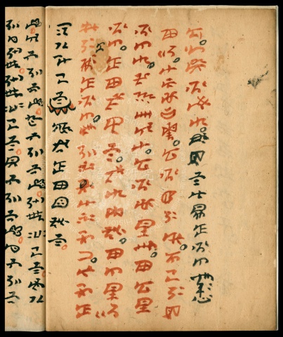 彝族的雞骨卜