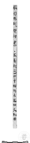 草書選粹