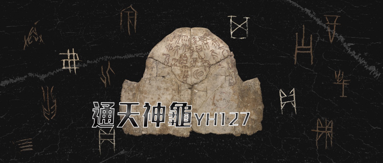 通天神龜YH127