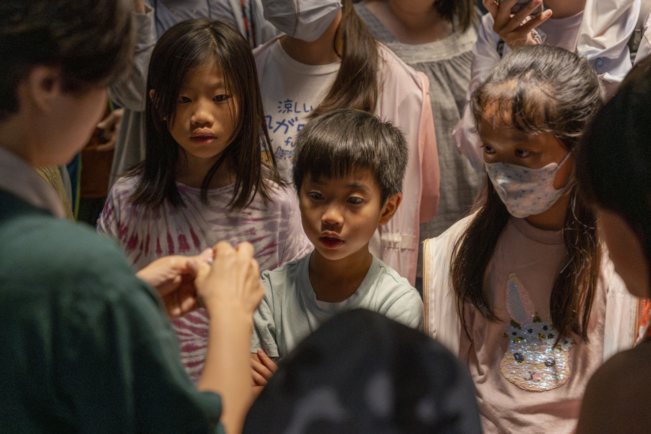 2025夏日文物館，Surprises You!