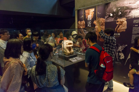 文物館嘉年華 - 2024年518國際博物館日系列活動
