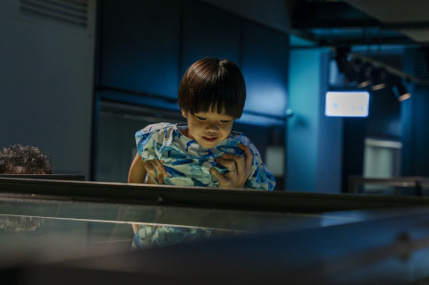 跟著繪本《茂茂歷遊記》遊歷文物館（7/5、8/2 & 8/22）