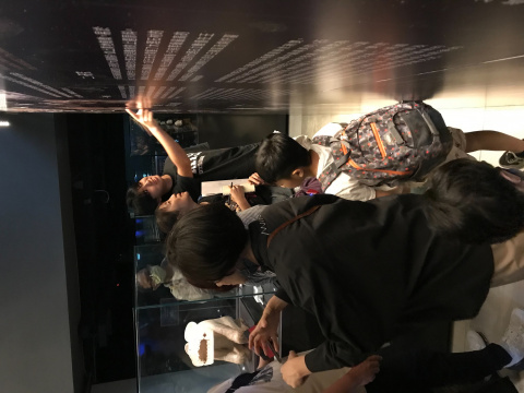 文物館嘉年華 - 2024年518國際博物館日系列活動