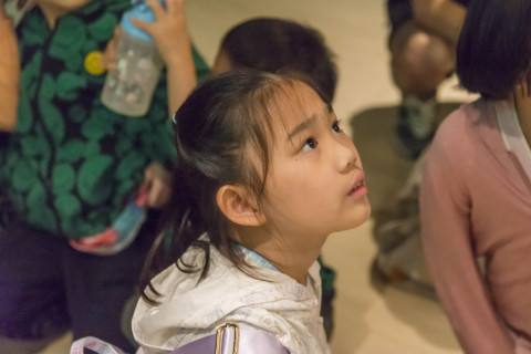 畫中謎案 - 2025年518國際博物館日系列活動