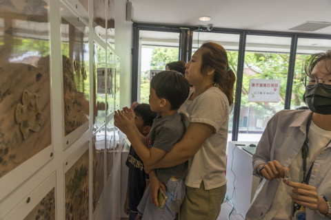 畫中謎案（7/16、7/27及8/9） - 2025夏日文物館