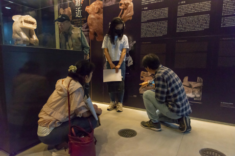 文物館嘉年華 - 2024年518國際博物館日系列活動