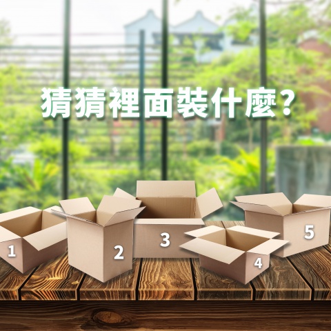 5個神秘箱