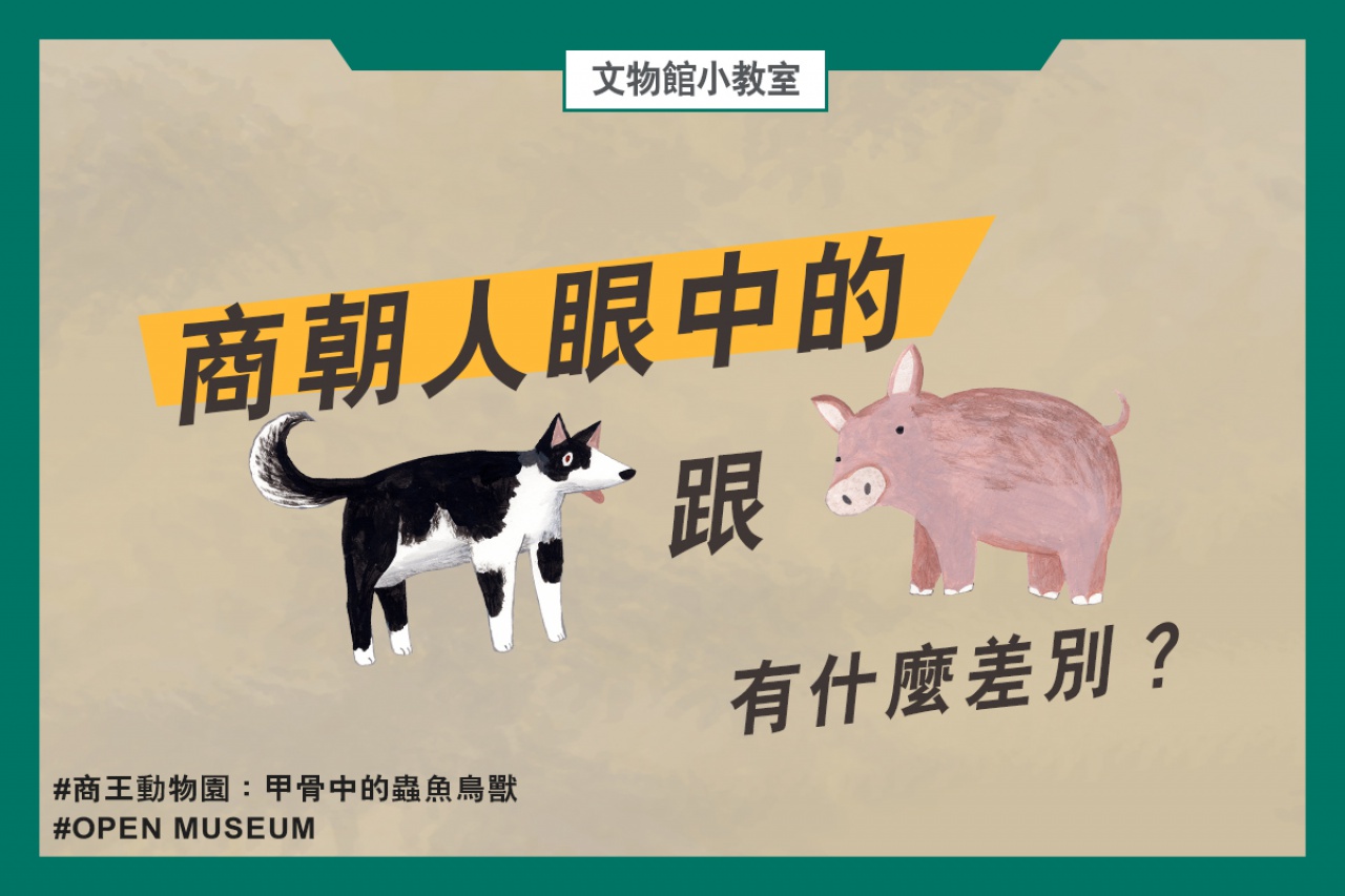 商朝人眼中的狗跟豬，有什麼差別？