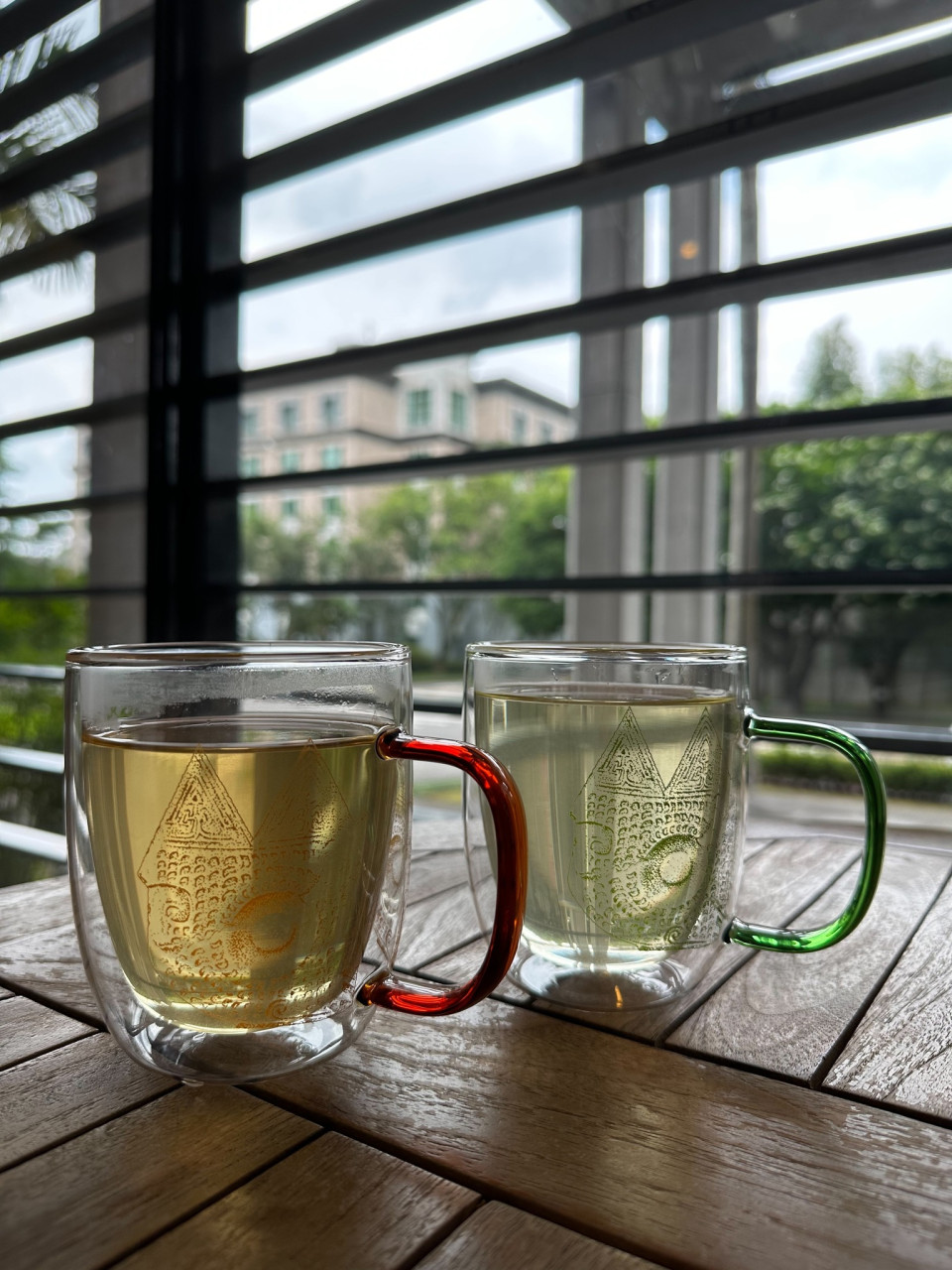 貓頭鷹紋飾雙層玻璃杯