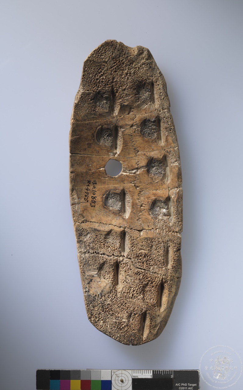 Inscribed Carapace I 4683