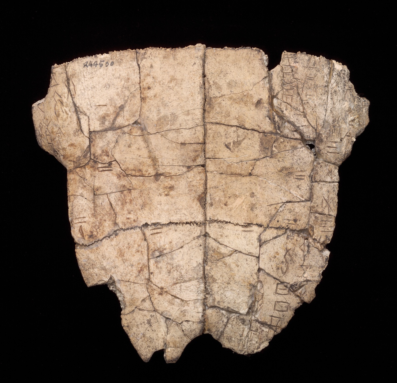 Inscribed Plastron Ping 0533
