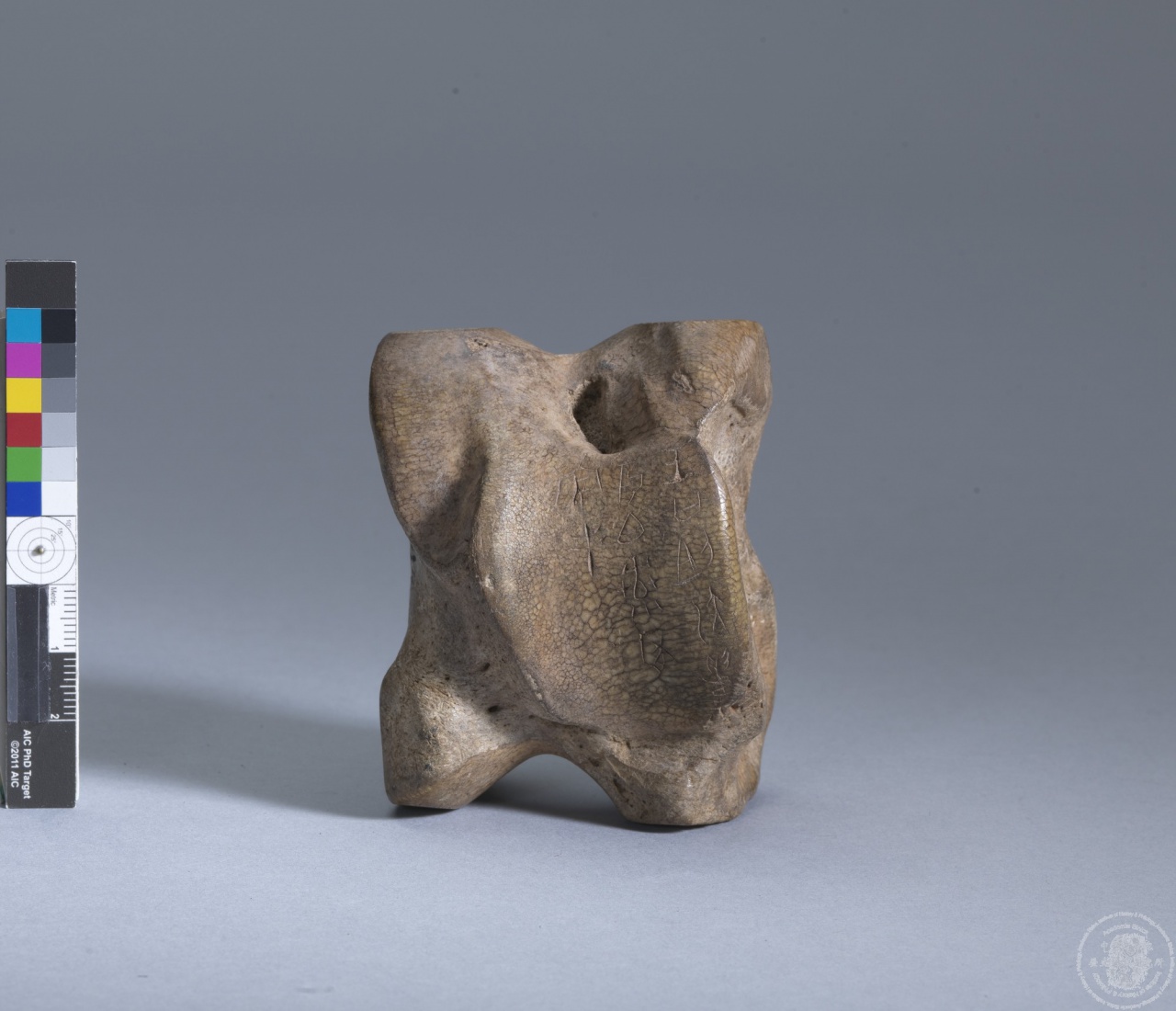 Inscribed Bovid Talus I 8688
