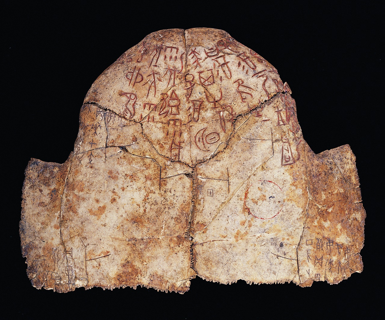 Inscribed Plastron Ping 0207