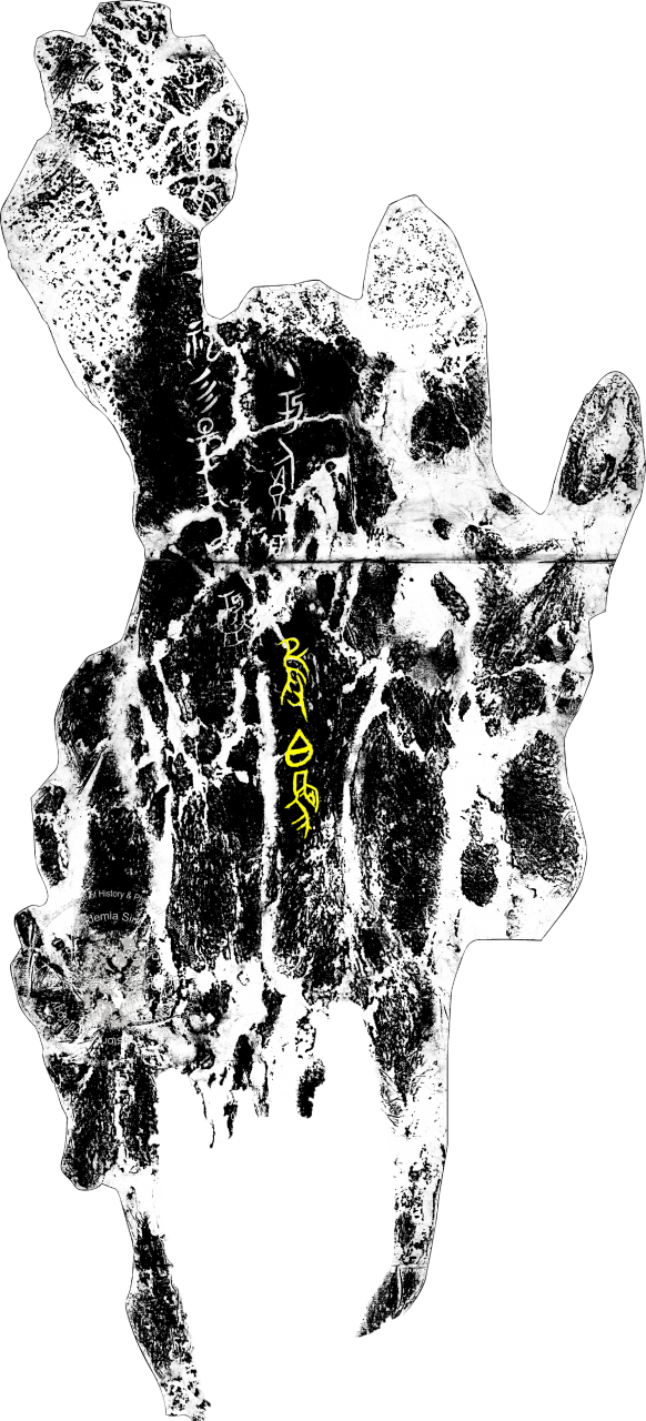 Inscribed Bovid Skull Chia 3939