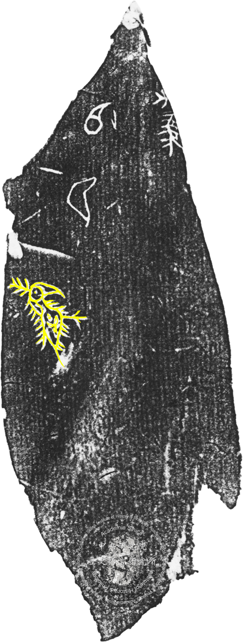 Inscribed Animal Bone Fragment Chia 2624