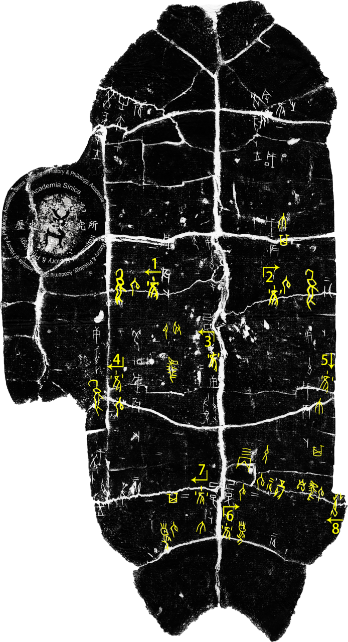 Inscribed Plastron I 4718