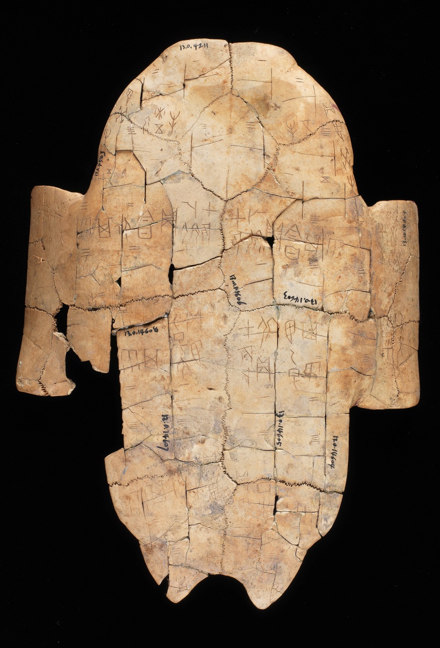 Inscribed Plastron Ping 0063