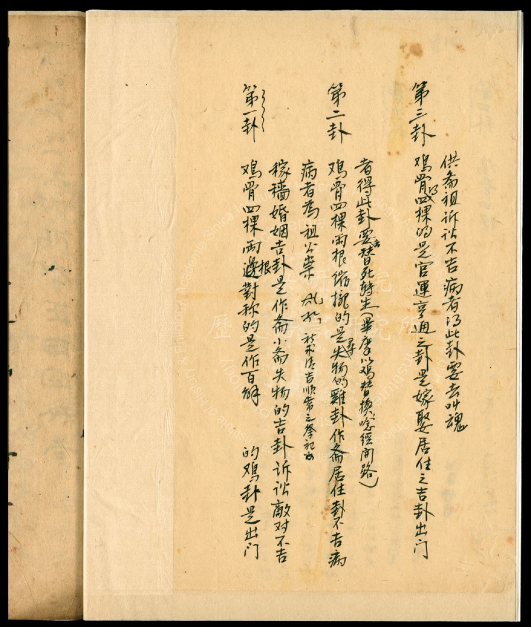 彝族的雞骨卜