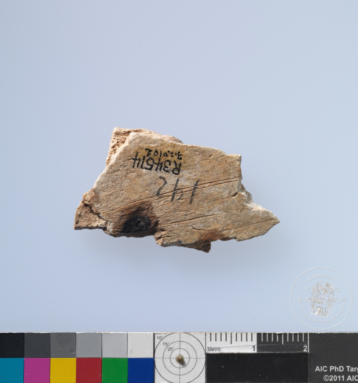 Inscribed Animal Bone Fragment Chia 2367