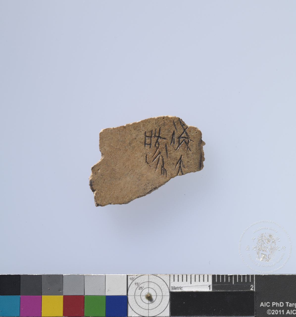 Inscribed Plastron Fragment Chia 2224