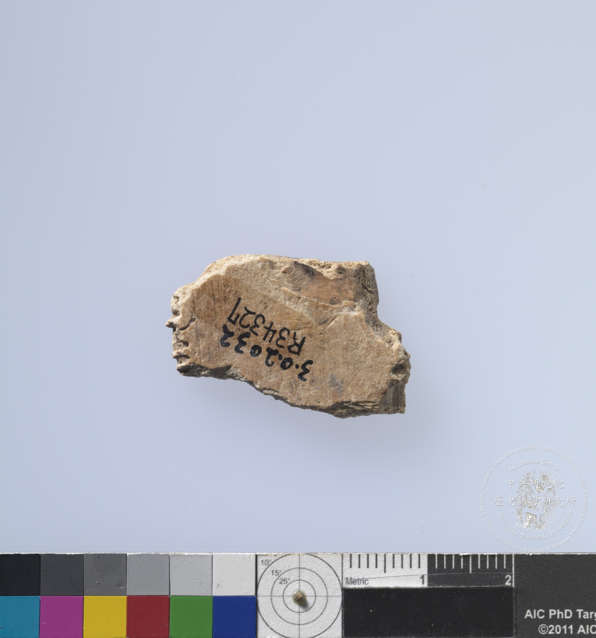 Inscribed Plastron Fragment Chia 2224