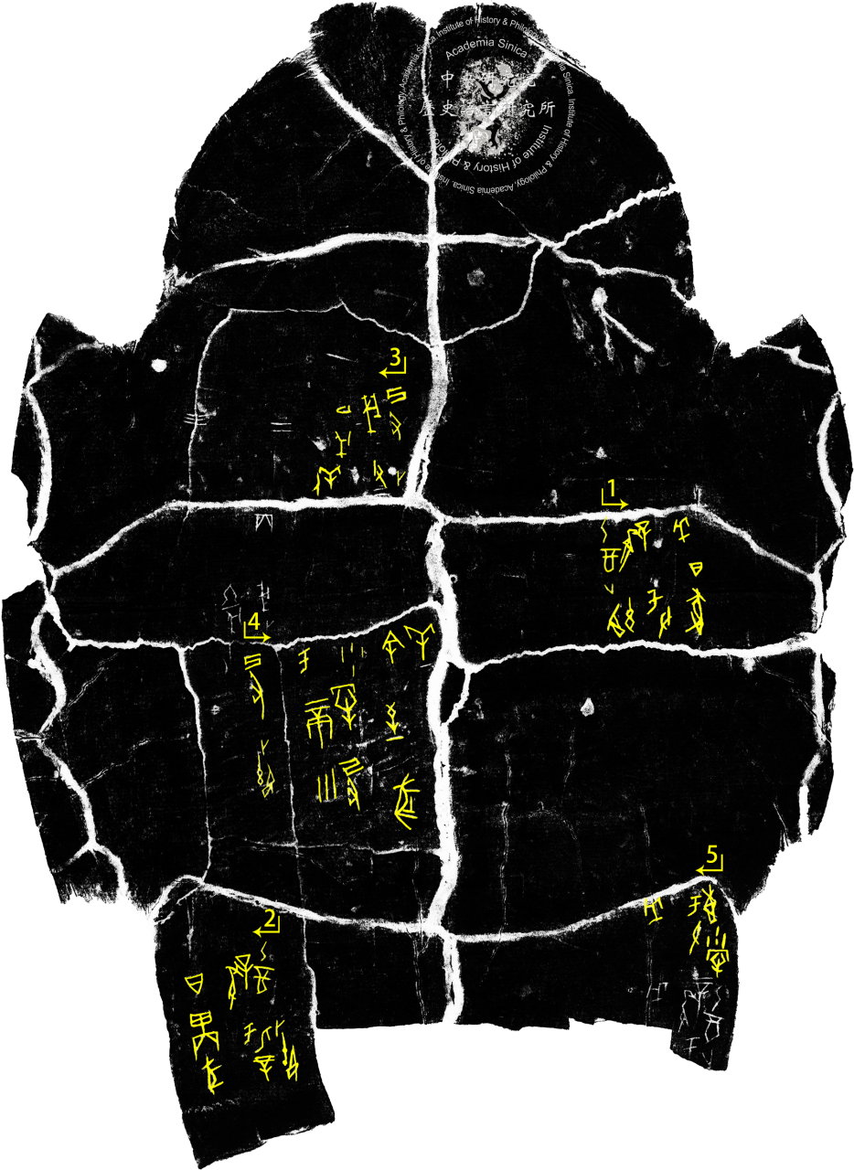 Inscribed Plastron I 4603
