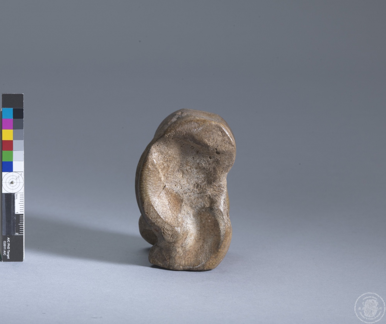 Inscribed Bovid Talus I 8688