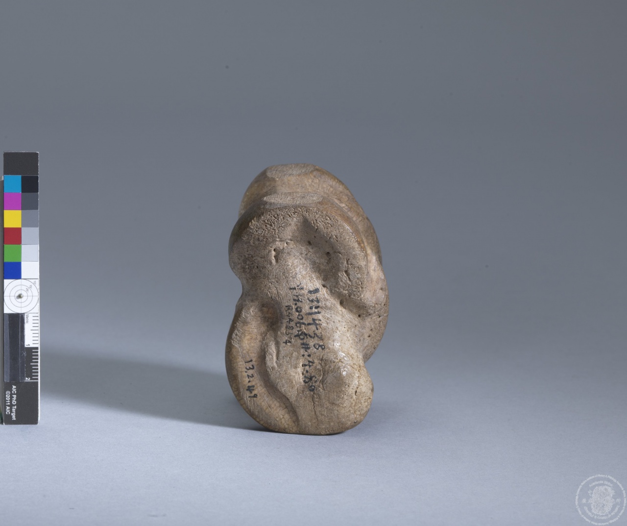 Inscribed Bovid Talus I 8688