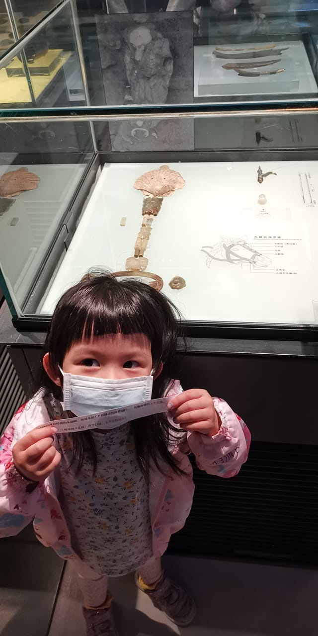 V-3 Mission Ox: Find the Ox in the Museum