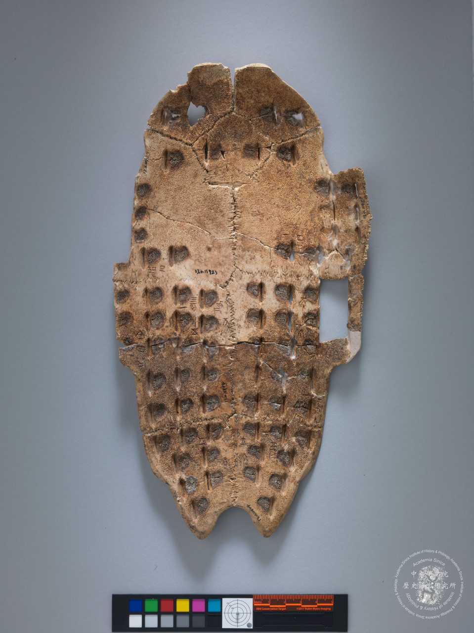 Inscribed Plastron Ping 0086