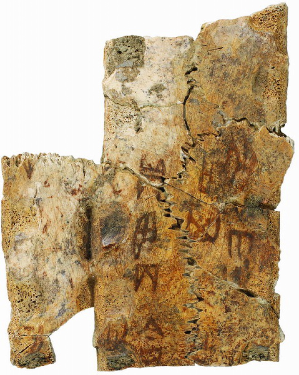 Inscribed Plastron Colored with Cinnabar I 0778