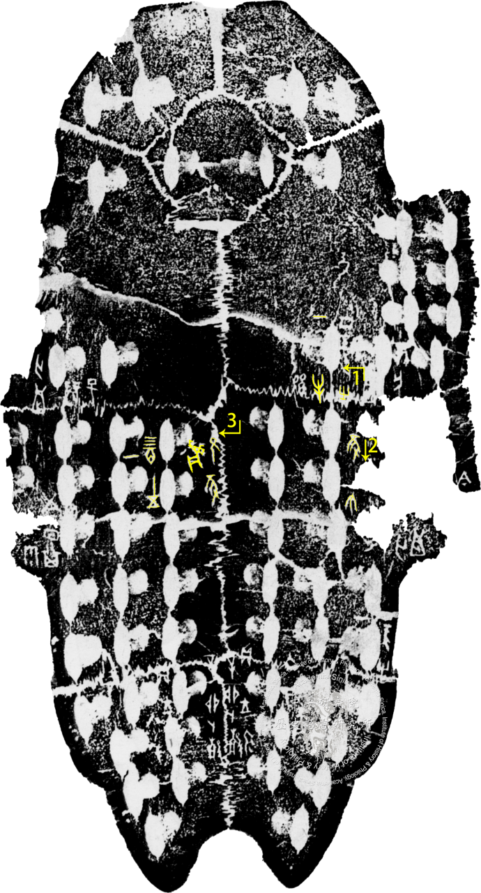 Inscribed Plastron Ping 0086