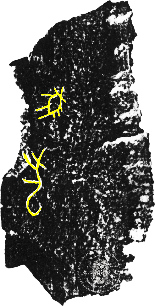 Inscribed Animal Bone Fragment Chia 2928
