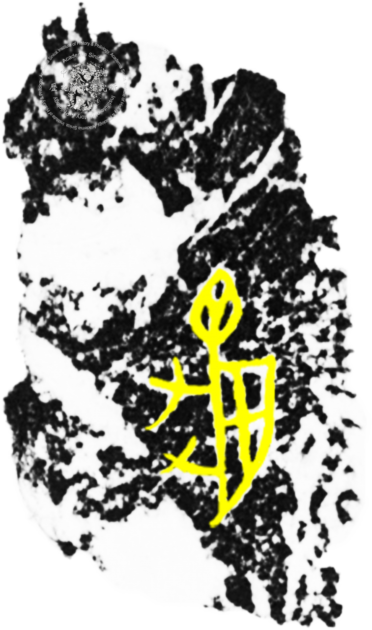 ​​​​Inscribed Plastron Fragment Chia 0984