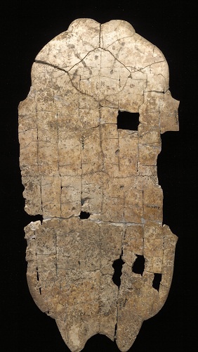 Inscribed Plastron Ping 0342