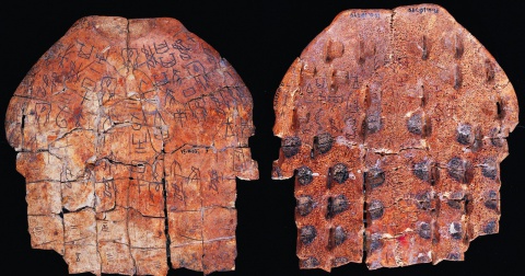 Inscribed Plastron Ping 0247