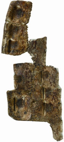 Inscribed Plastron I&nbsp;5867+8202