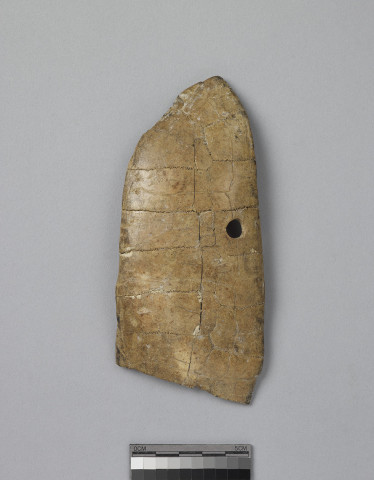 Reshaped Tortoise Carapace  Yi Bian 4681