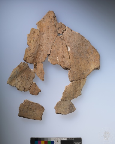 Inscribed Animal Bone Fragment Chia 2659+2716+2763