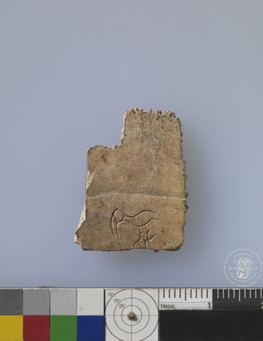 Inscribed Plastron Fragment Chia 1961