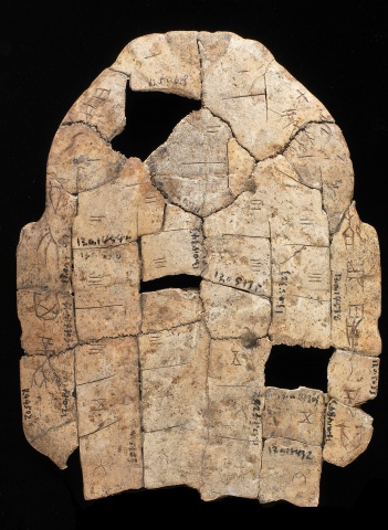 Inscribed Plastron Ping 0538