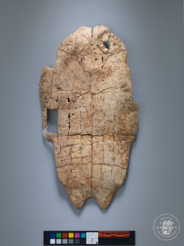 Inscribed Plastron Ping 0086