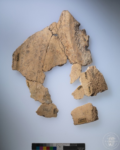 Inscribed Animal Bone Fragment Chia 2659+2716+2763