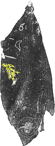 Inscribed Animal Bone Fragment Chia 2624