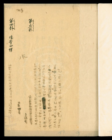 彝族的雞骨卜