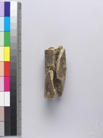 Antler Object Chia 3942